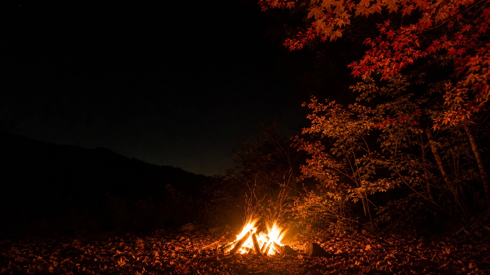 秋の夜に燃える焚火
